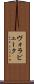 ヴォラピューク Scroll