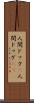 人間ドック(P) Scroll