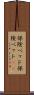 保険ベッド Scroll