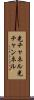 光チャネル Scroll