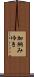加納みゆき Scroll