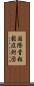 国際骨粗鬆症財団 Scroll