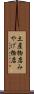 土産物店 Scroll