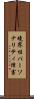 境界性パーソナリティ障害 Scroll