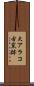 大アラコ古窯跡 Scroll