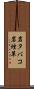 岩タバコ Scroll