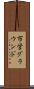 市営グラウンド Scroll