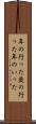年の行った Scroll
