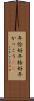 年恰好 Scroll