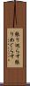 張り巡らす Scroll
