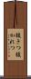 抜きつ抜かれつ Scroll