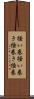 掻い巻 Scroll