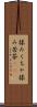 揉みくちゃ Scroll