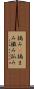 摘み(P) Scroll