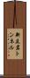 新立岩トンネル Scroll