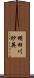明田川紗英 Scroll