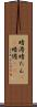 暗澹 Scroll