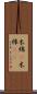 木綿(P) Scroll
