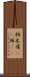 杮 Scroll