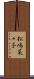 松嶋菜々子 Scroll
