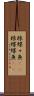 棘蝶々魚(rK) Scroll