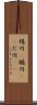 楕円(P) Scroll