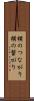 横のつながり Scroll