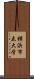 横浜市立大学 Scroll