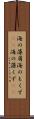 海の藻屑 Scroll