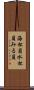 海松貝 Scroll