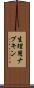 生理用ナプキン Scroll