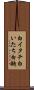 白イタチ Scroll