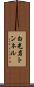 白光岩トンネル Scroll