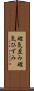 磁気歪み Scroll