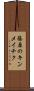 篠原のキンメイチク Scroll