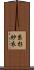 糸杉紗衣 Scroll