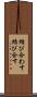 結び合わす Scroll