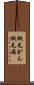絨毛がん Scroll