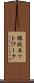 線状ネットワーク Scroll