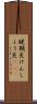 腱鞘炎 Scroll