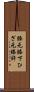 膝元 Scroll