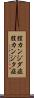 膣カンジダ症 Scroll