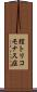 膣トリコモナス症 Scroll