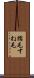 臑毛 Scroll