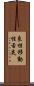 良性移動性舌炎 Scroll