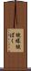 被曝 Scroll