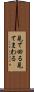 見て回る Scroll