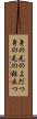 身の毛のよだつ Scroll