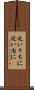 近いうちに Scroll