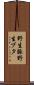野生豚 Scroll